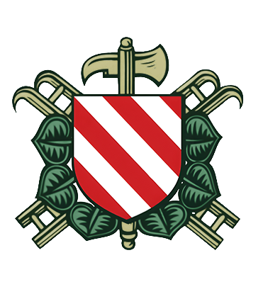 Logo SDH Litice